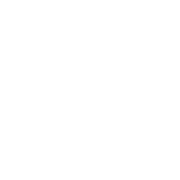 car-service(1)